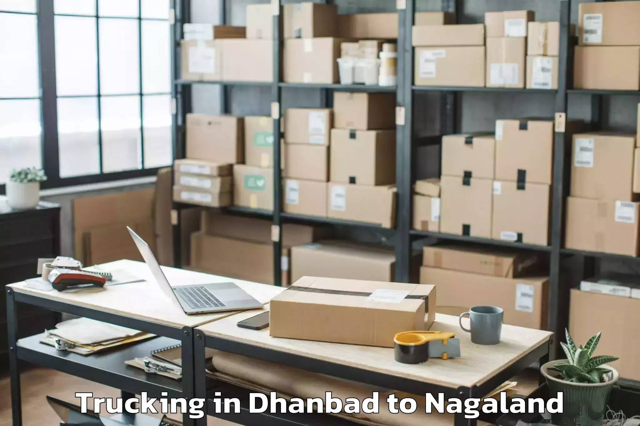 Professional Dhanbad to Zunheboto Trucking